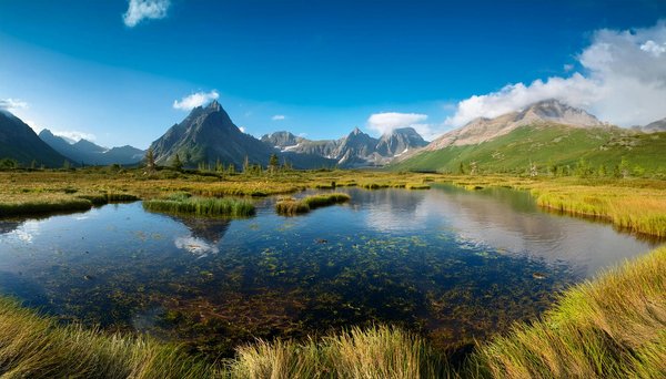 Les campings d'exception à explorer dans le sud de la france